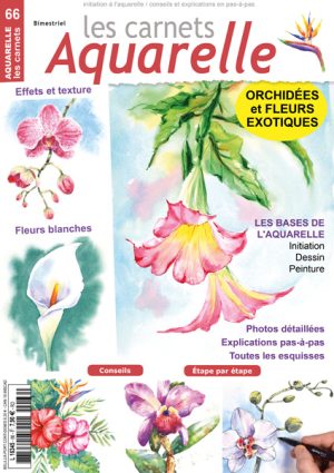 Les carnets aquarelle n°66
