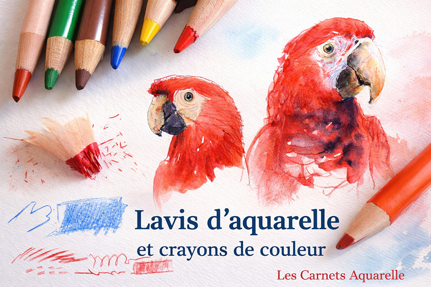 Lire la suite à propos de l’article Lavis d’aquarelle et crayons de couleur : pour des croquis vivants
