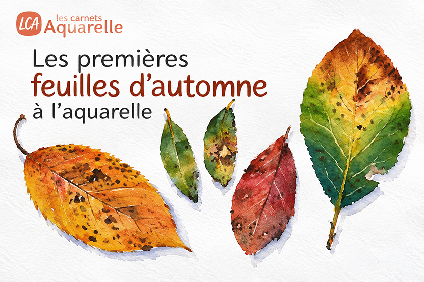 Lire la suite à propos de l’article Les premières feuilles d&rsquo;automne à l&rsquo;aquarelle